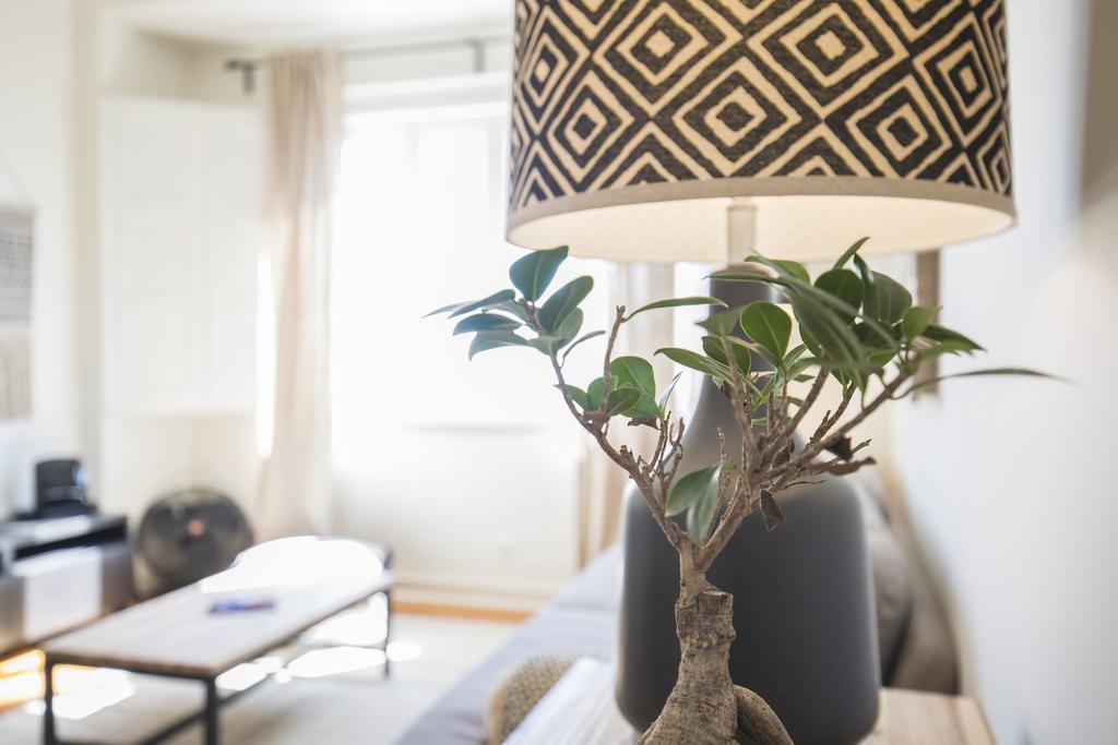 Lovelystay - Bonsai Light And Comfort Flat Lisboa Rum bild